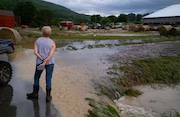 Connie Mullen of Canisteo, N.Y., looks out over the heavily damaged Moss Van Wie dairy farm, owned by her brother, Cliff Moss, in Canisteo, Friday, Aug. 9, 2024. (AP Photo/Craig Ruttle)