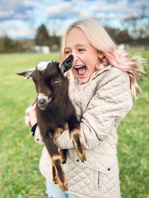 Snuggle a baby goat at the 2024 NYS Fair