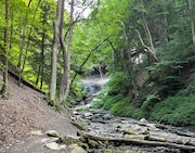 A helicopter and ATV were used to help rescue a man who fell off a cliff Tinker Falls waterfall in Truxton on Sunday, Aug.10, 2024.