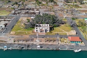 An aerial view shows new leaves sprouting from the historic Lahaina banyan tree, Saturday, July 6, 2024, in Lahaina, Hawaii. When a deadly wildfire tore through Lahaina on Maui last August, the wall of flames threatened the 150-year-old banyan tree along the historic town's Front Street. But the sprawling tree survived the blaze, and thanks to the efforts of arborists and dedicated volunteers, parts of it are growing in a sign of resilient life. (AP Photo/Mengshin Lin)